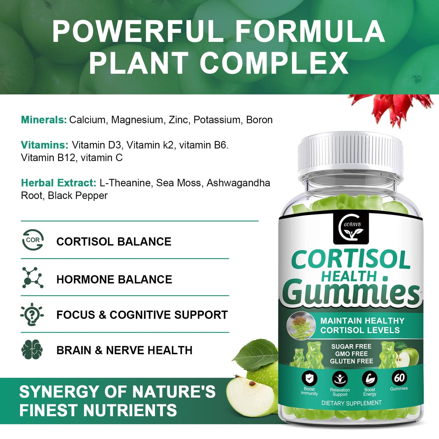 GORNVB Cortisol Gummies, Cortisol Supplement for Women with Magnesium, Ashwagandha, Rhodiola, Phosphatidylserine, L-Theanine, Black Pepper, Vitamin C & B6 - Relaxation, Focus, Sleep Support - 2 Pack - Maple Wellness Supplements