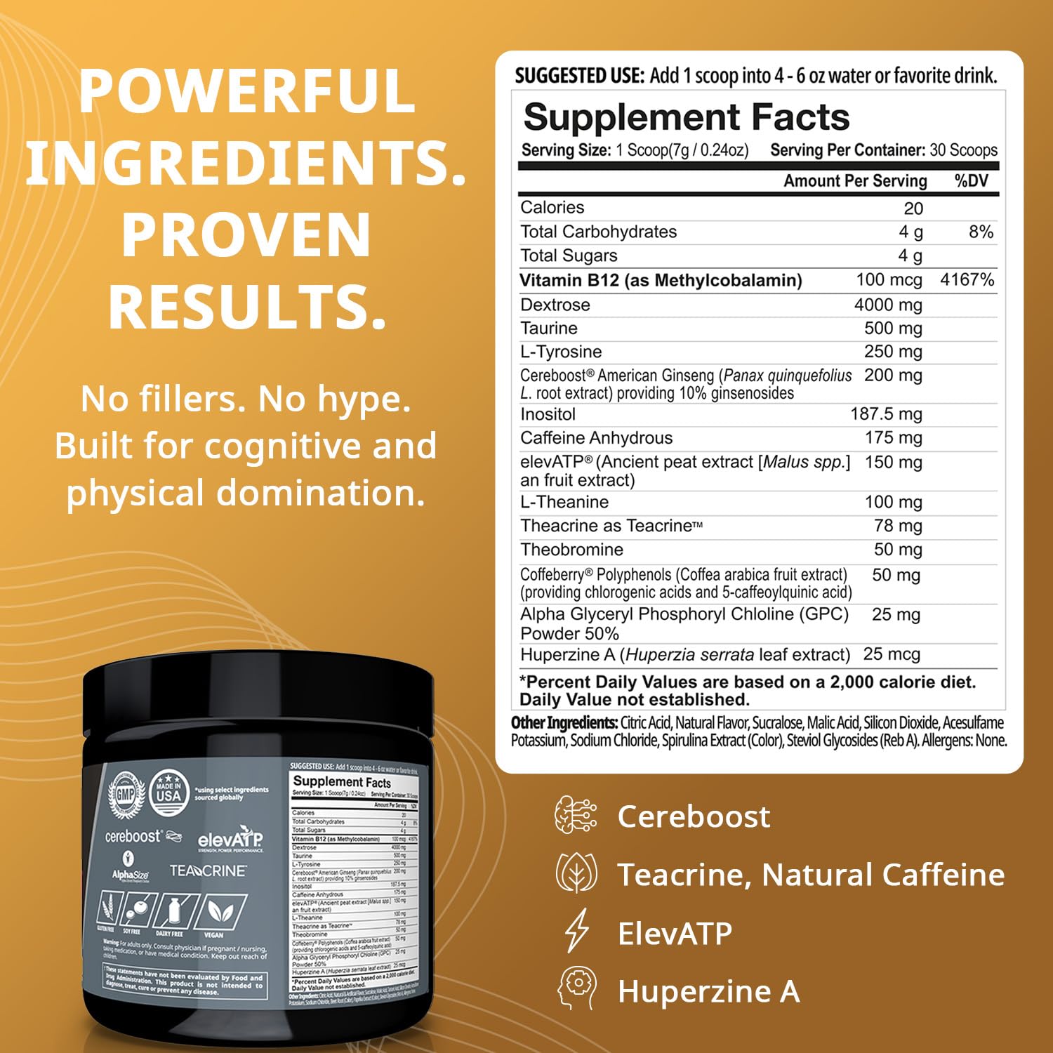 Granite Nutrition GigaBrain Nootropic Energy Powder – Cereboost, Alpha-GPC & ElevATP – Cognitive Focus Supplement for Sustained Energy & Performance – White Peach, 30 Servings - Maple Wellness Supplements