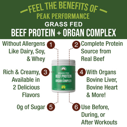 Grass Fed Beef Protein Powder + Organ Complex. Lactose Free Great Tasting Beef Protein Isolate. Animal Based Non Dairy No Whey Paleo Carnivore Supplement for Muscle Building. Chocolate Flavor - Maple Wellness Supplements