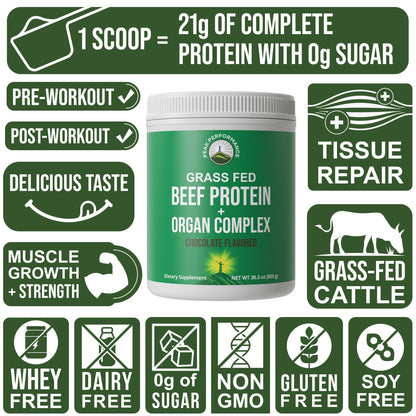 Grass Fed Beef Protein Powder + Organ Complex. Lactose Free Great Tasting Beef Protein Isolate. Animal Based Non Dairy No Whey Paleo Carnivore Supplement for Muscle Building. Chocolate Flavor - Maple Wellness Supplements