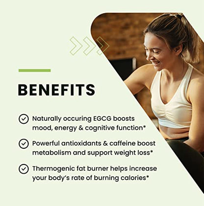 Green Tea Weight Loss Pills with Green Coffee Bean Extract | Belly Fat Burner, Metabolism - Maple Wellness Supplements