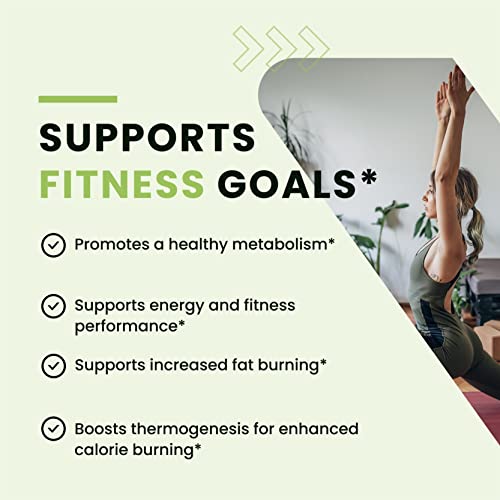 Green Tea Weight Loss Pills with Green Coffee Bean Extract | Belly Fat Burner, Metabolism - Maple Wellness Supplements