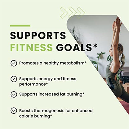 Green Tea Weight Loss Pills with Green Coffee Bean Extract | Belly Fat Burner, Metabolism - Maple Wellness Supplements