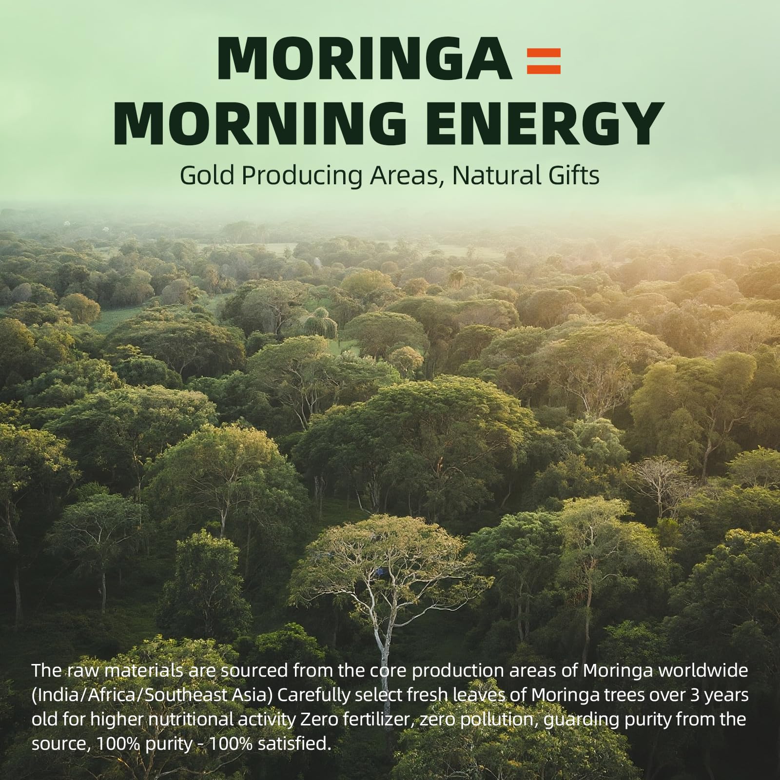 GREENPEOPLE Whole-Leaf Moringa Capsules 1500mg - High Potency 10:1 Moringa Oleifera Leaf Extract - Natural Green Superfood for Energy & Immune Support - Maple Wellness Supplements