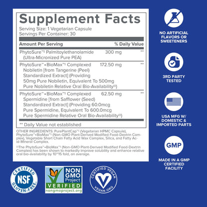 Gundry MD® Bio Sync Supplement for Daytime Energy, Supports Focus and Memory†* - (30 Capsules) - Maple Wellness Supplements