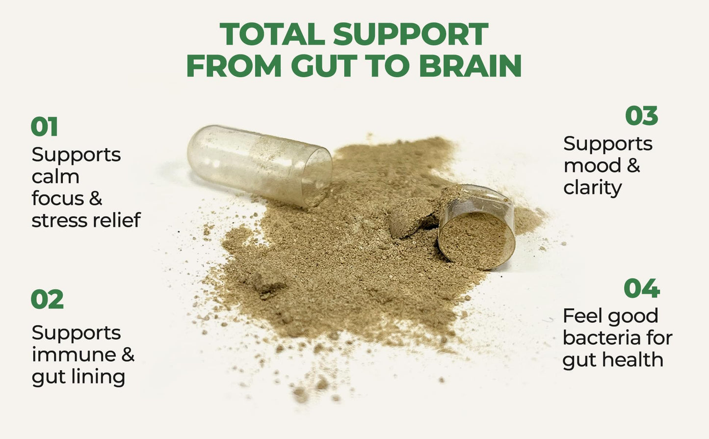 Gut-Brain Synergy Probiotic & Nootropic – 30Billion CFU Psychobiotic + Prebiotic with Ashwagandha, L-Theanine & Zinc for Gut Health, Mood Support, Stress Relief, Bloating Relief & Brain Focus & Memory - Maple Wellness Supplements