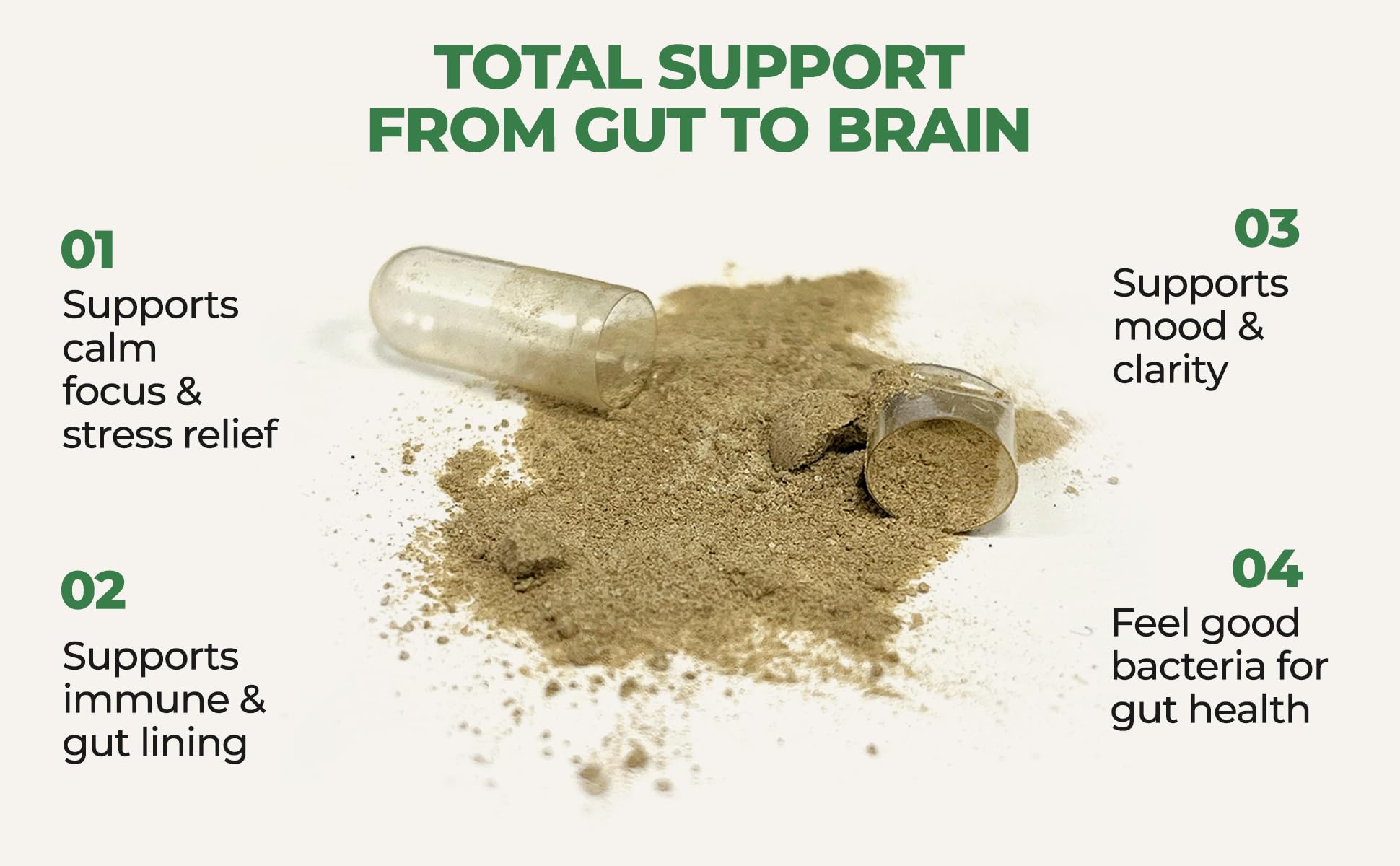 Gut-Brain Synergy Probiotic & Nootropic – 30Billion CFU Psychobiotic + Prebiotic with Ashwagandha, L-Theanine & Zinc for Gut Health, Mood Support, Stress Relief, Bloating Relief & Brain Focus & Memory - Maple Wellness Supplements