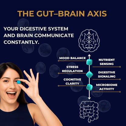 Gut Health & Bloating Relief Gummies – Digestion Support with Prebiotic Fiber, Inulin & Ashwagandha – Stress, Nervous Stomach, Sleep & Calm Support – Gut-Brain Axis Formula - Maple Wellness Supplements