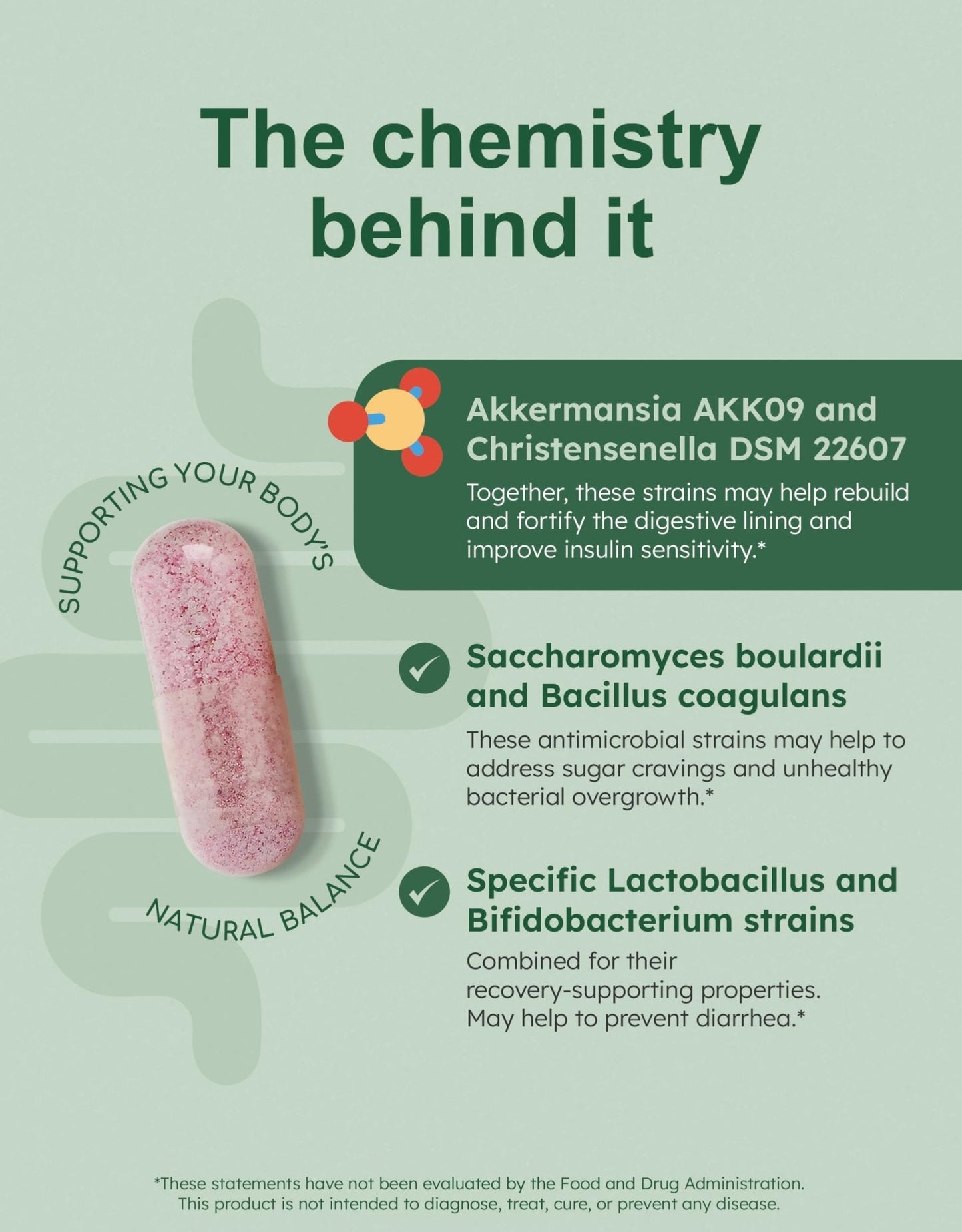 GutRx Balance – Probiotics for Women & Men with Akkermansia Probiotic & Christensenella, GLP-1 Alternative for Gut Health with Lactobacillus Plantarum, - Maple Wellness Supplements