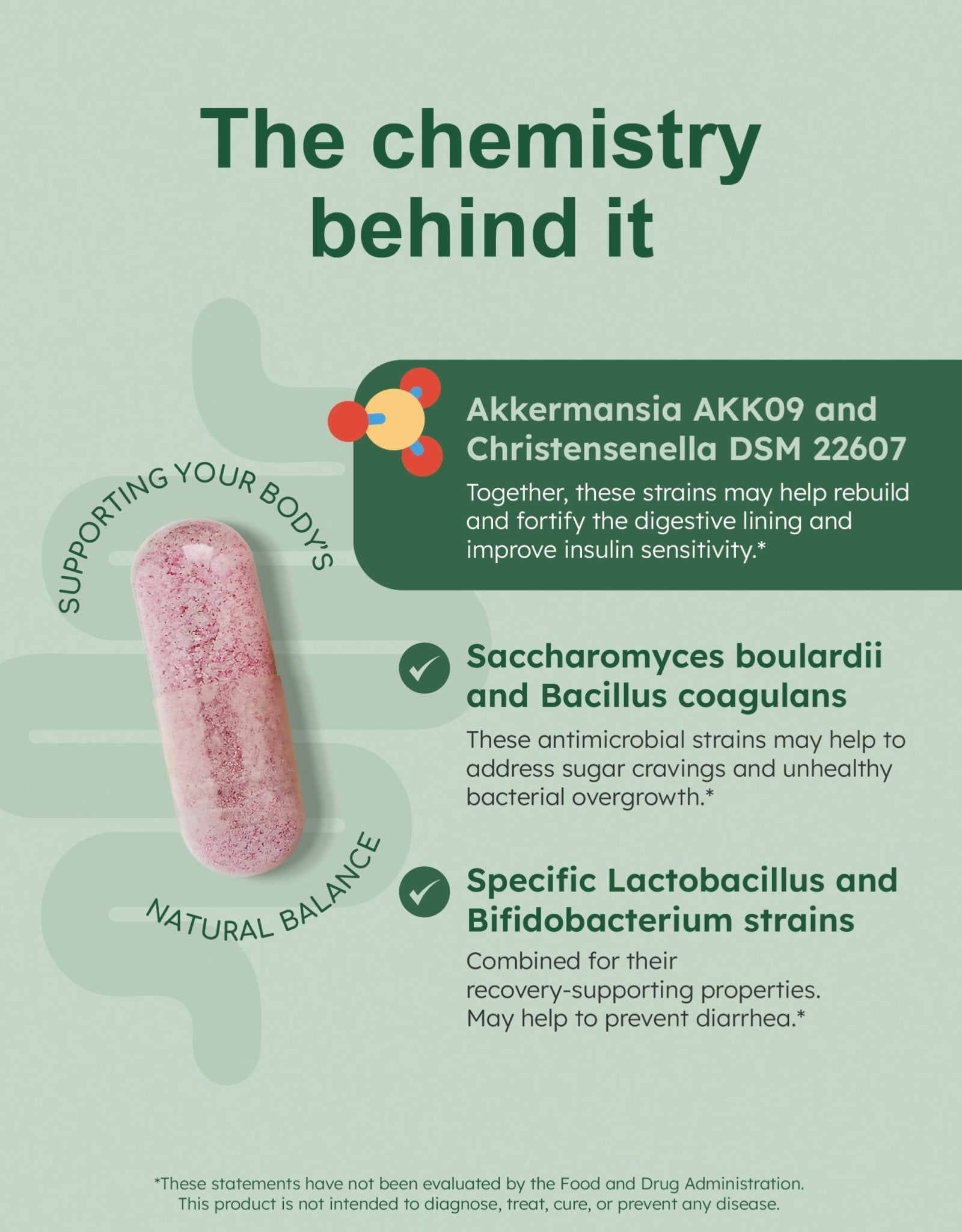 GutRx Balance – Probiotics for Women & Men with Akkermansia Probiotic & Christensenella, GLP-1 Alternative for Gut Health with Lactobacillus Plantarum, - Maple Wellness Supplements