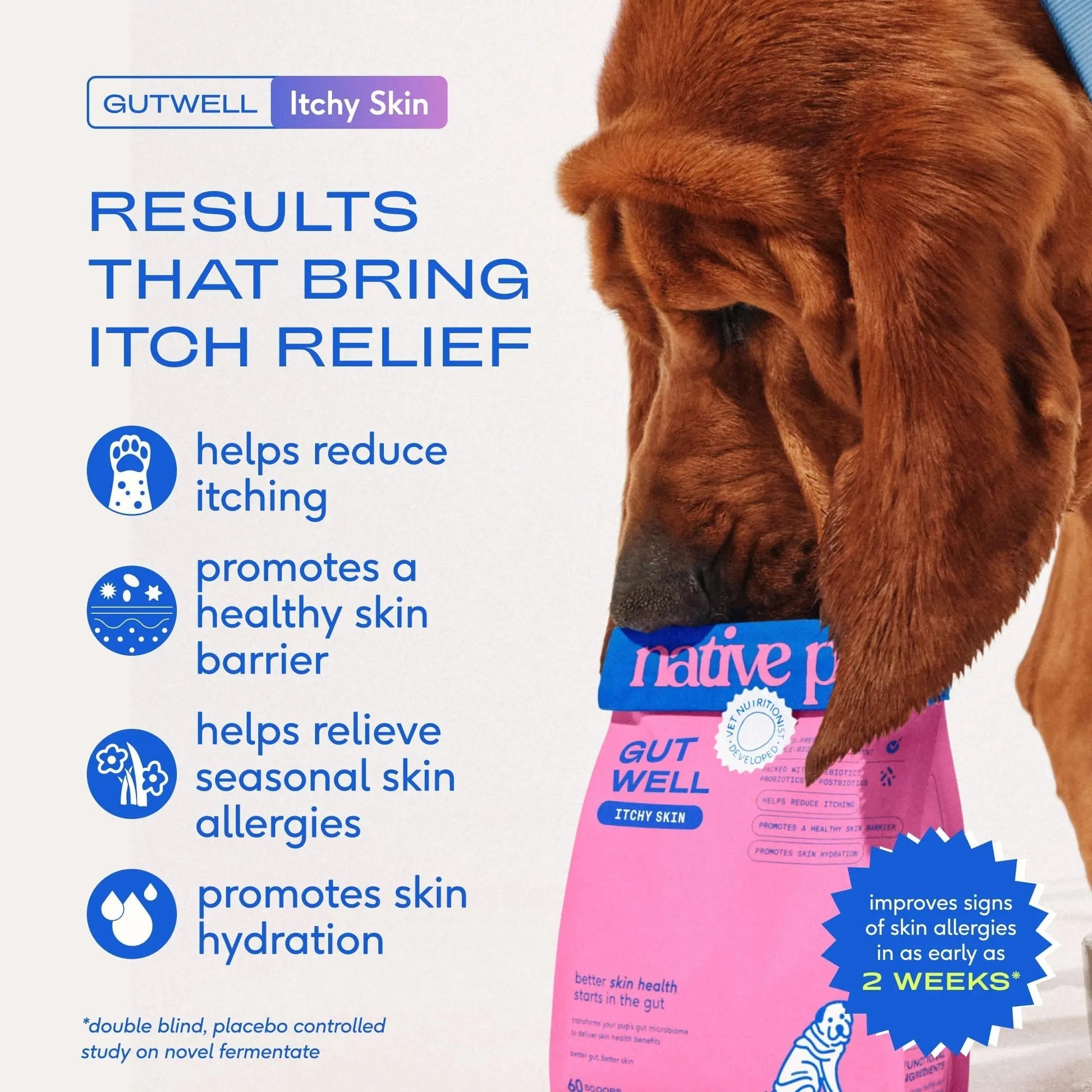 GutWell Itchy Skin - Dog Itching Skin Relief & Seasonal Allergy Itch Relief for Dogs - Promotes Skin Hydration, Elasticity & Healthy Barrier with Triple-biotic Blend, Zinc, & Vitamin E - 60 Scoops - Maple Wellness Supplements
