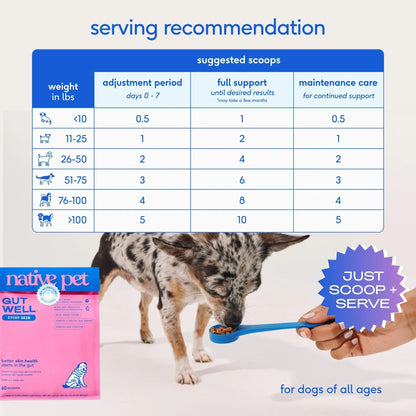 GutWell Itchy Skin - Dog Itching Skin Relief & Seasonal Allergy Itch Relief for Dogs - Promotes Skin Hydration, Elasticity & Healthy Barrier with Triple-biotic Blend, Zinc, & Vitamin E - 60 Scoops - Maple Wellness Supplements
