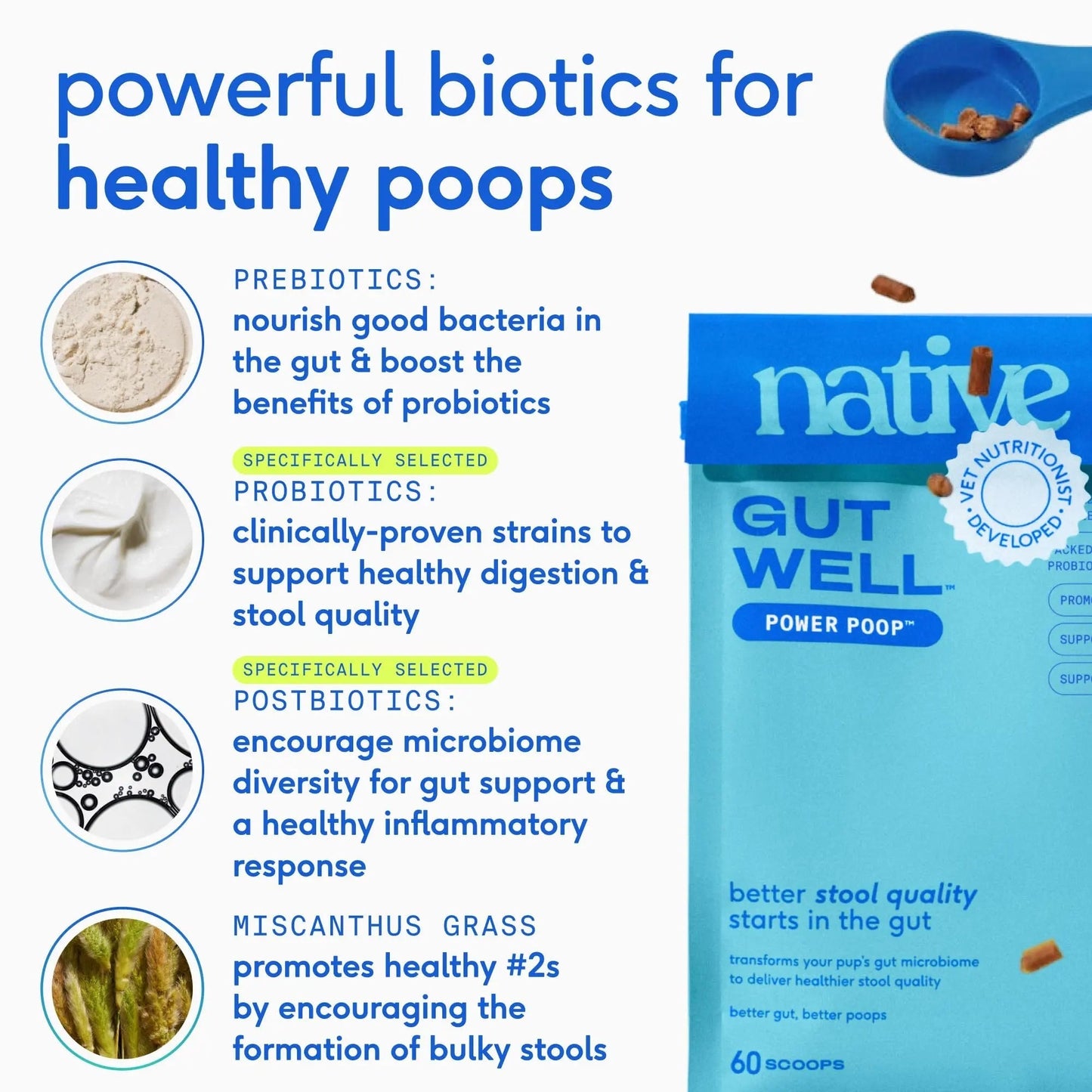 GutWell Power Poop - Digestive Enzymes & Fiber for Dogs - Dog Fiber Supplements Help with Diarrhea Relief, Upset Stomach, Pet Gas & Gut Health with Targeted Triple-Biotic Blend & M-Fiber - 60 Scoops - Maple Wellness Supplements