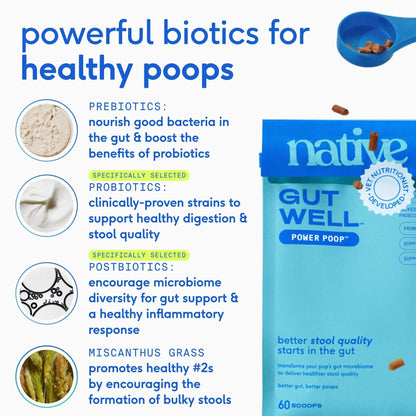 GutWell Power Poop - Digestive Enzymes & Fiber for Dogs - Dog Fiber Supplements Help with Diarrhea Relief, Upset Stomach, Pet Gas & Gut Health with Targeted Triple-Biotic Blend & M-Fiber - 60 Scoops - Maple Wellness Supplements