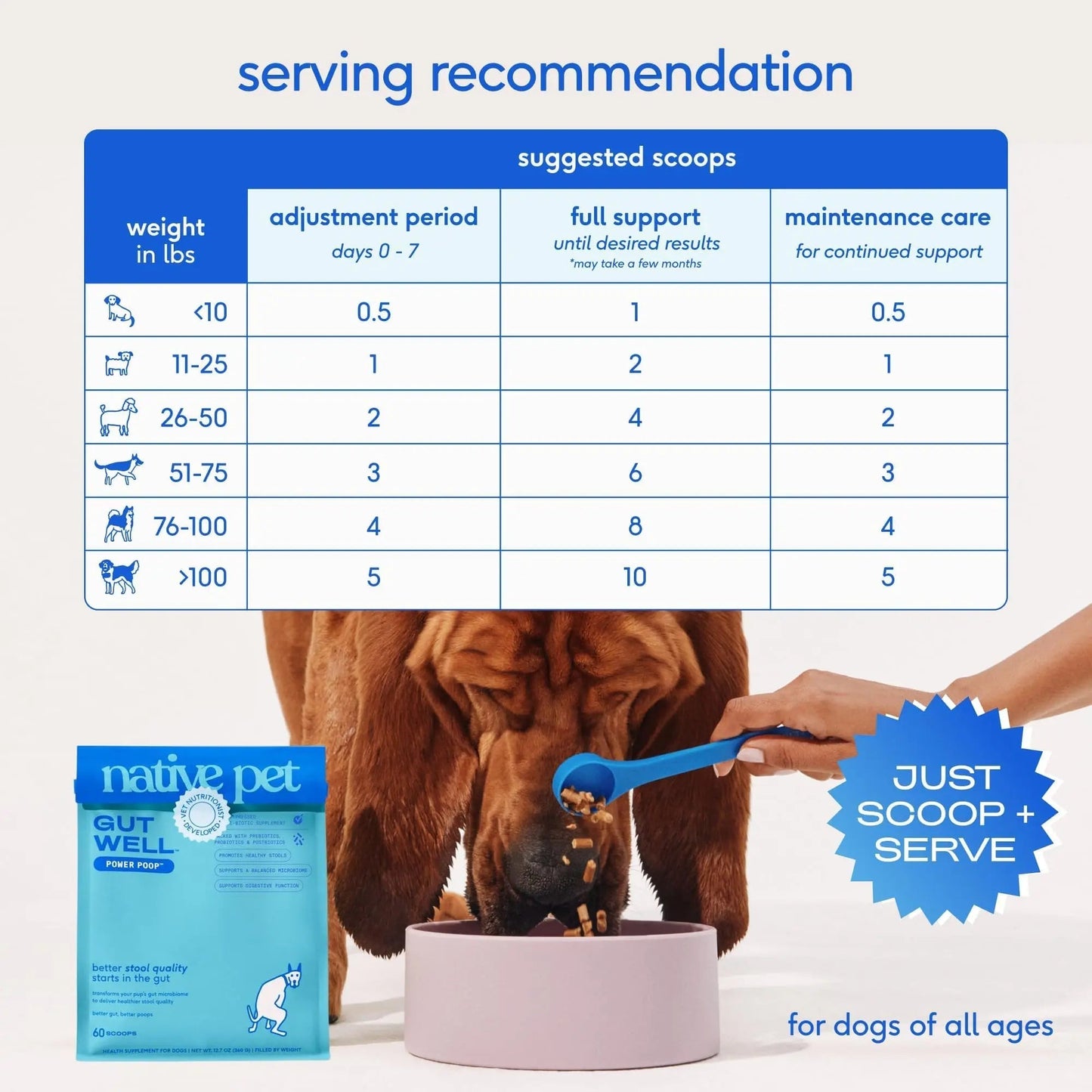 GutWell Power Poop - Digestive Enzymes & Fiber for Dogs - Dog Fiber Supplements Help with Diarrhea Relief, Upset Stomach, Pet Gas & Gut Health with Targeted Triple-Biotic Blend & M-Fiber - 60 Scoops - Maple Wellness Supplements