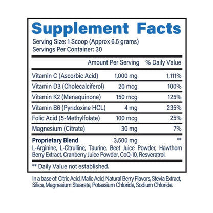 H2O Cardio | Nitric Oxide Supplement Drink | Wellness & Hydration Support | Arginine & Citrulline Powder | Berry Flavored Drink Mix for Daily Activity | Net Wt. 3.35 Ounces - Maple Wellness Supplements
