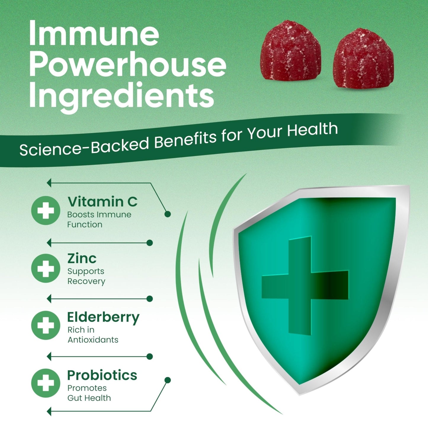 Haydar Marketplace Immune Boosters for Adults - Vegan Immune Support Gummies with Vitamins C & D, Zinc, Magnesium, Probiotics - Maple Wellness Supplements