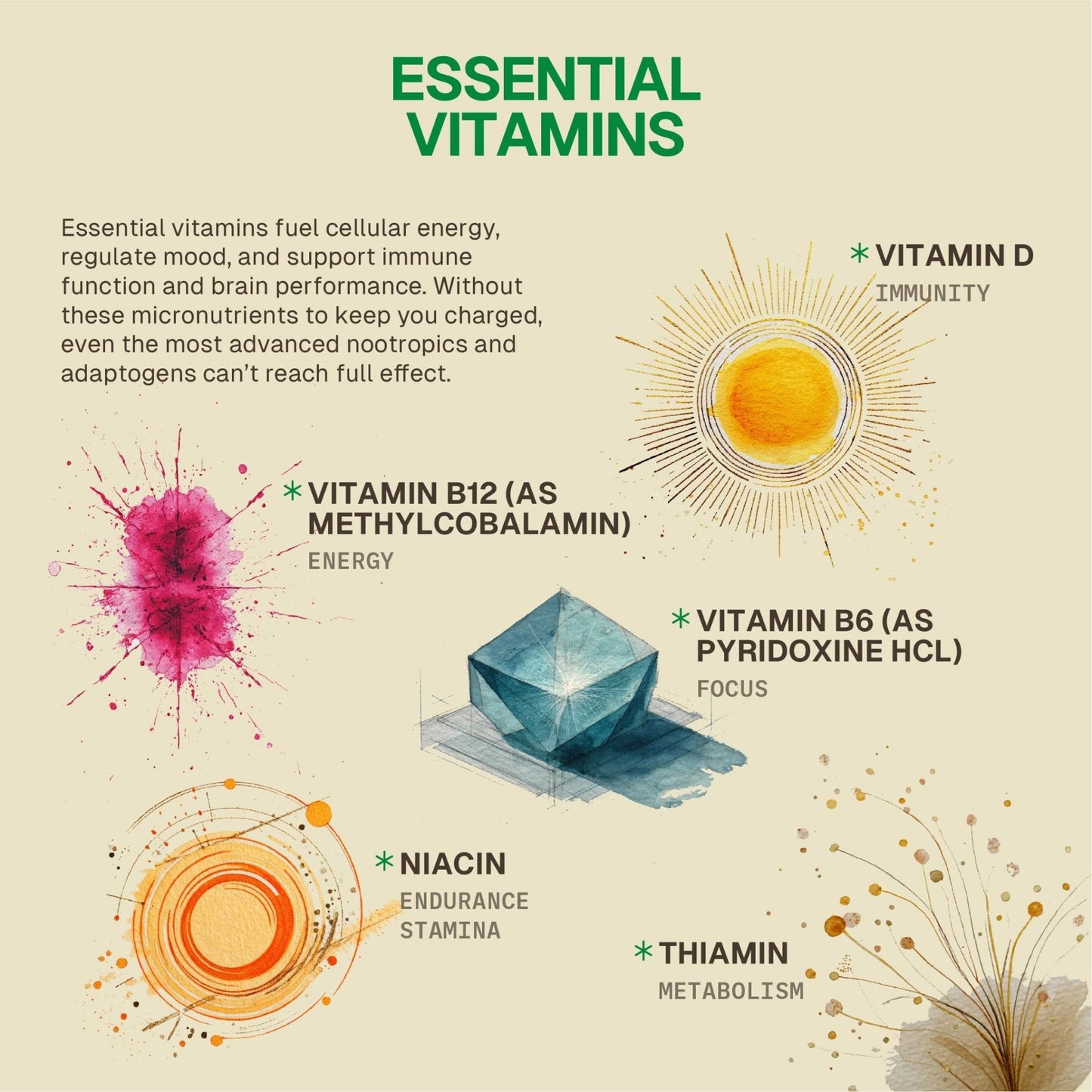 HEAD-START Sunrise Capsules | Nootropic Brain Supplement with Lion’s Mane, L-Theanine & Saffron | Adaptogen Blend for Focus, Energy, Clarity & Daily Performance - Maple Wellness Supplements