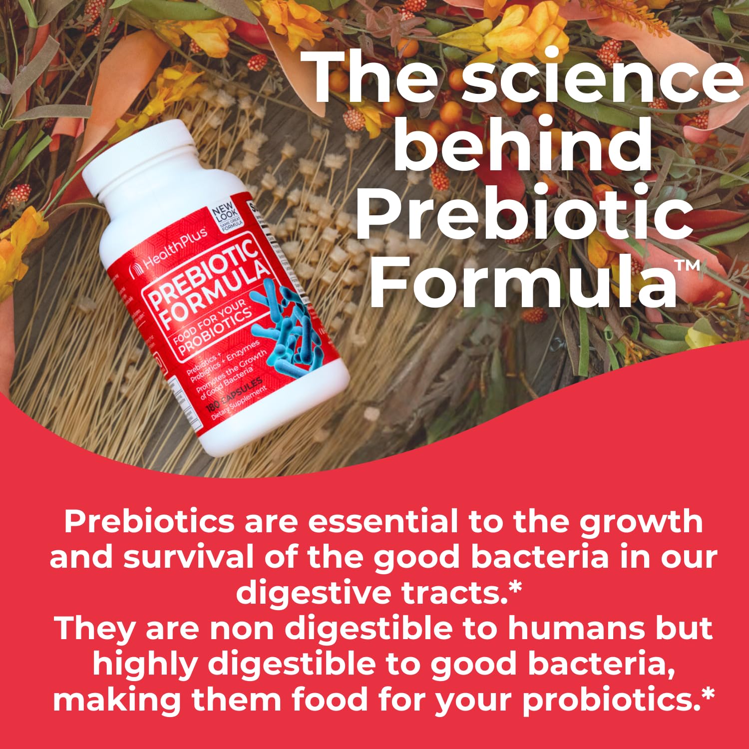Health Plus Prebiotic Formula - Probiotics + Prebiotics + Digestive Enzymes - Gluten Free, Dairy Free, Natural Herbal Ingredients - Maple Wellness Supplements