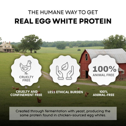 Healthier Comforts Animal-Free Egg White Protein Powder | Make Vegan Egg Omelets, Angel Food Cake, Meringue, Protein Shakes | Whips and Binds Just Like Traditional Egg Whites (8 oz) - Maple Wellness Supplements