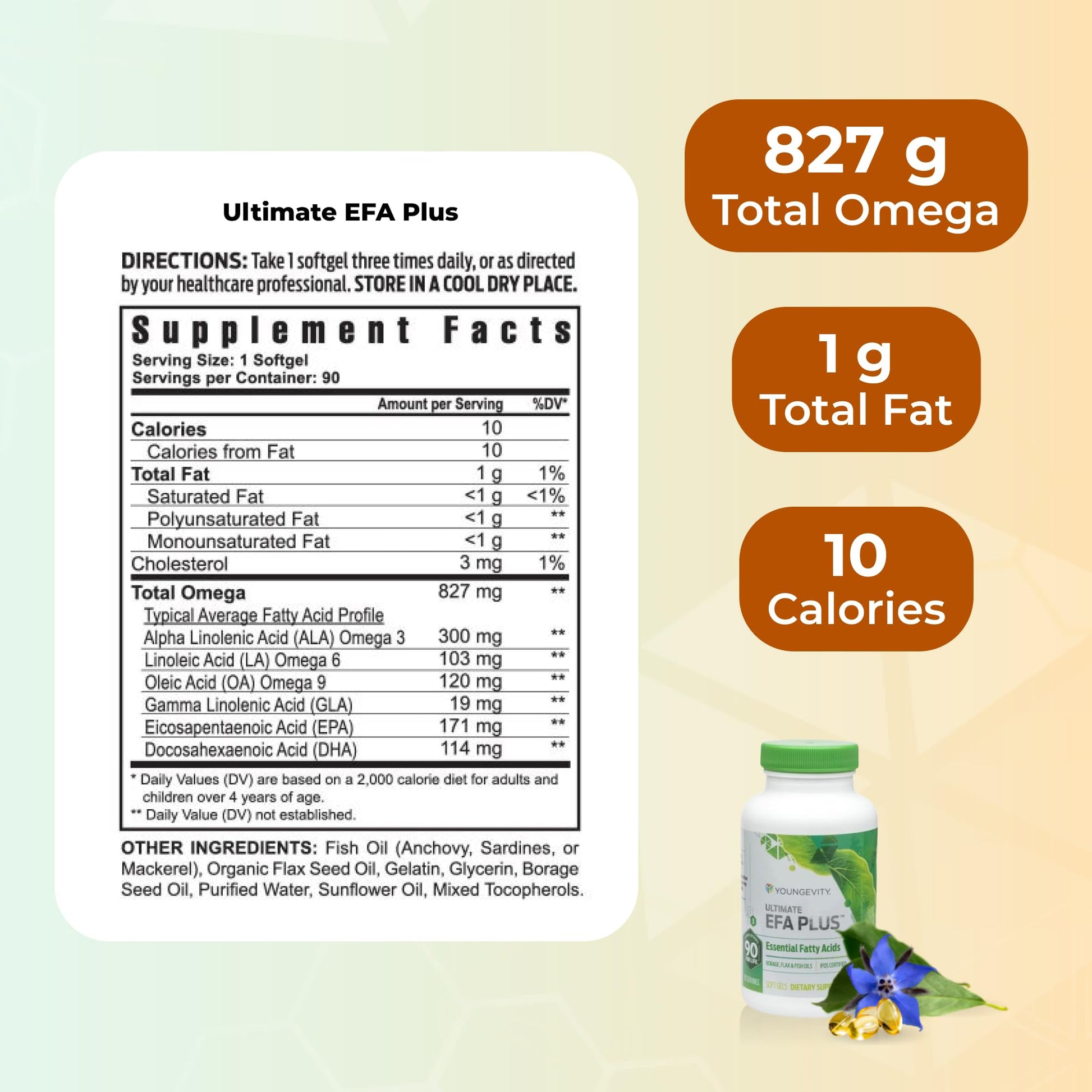 Healthy Body Start Pak 2.0 - BTT 2.0 Tablets (Liq) - Maple Wellness Supplements