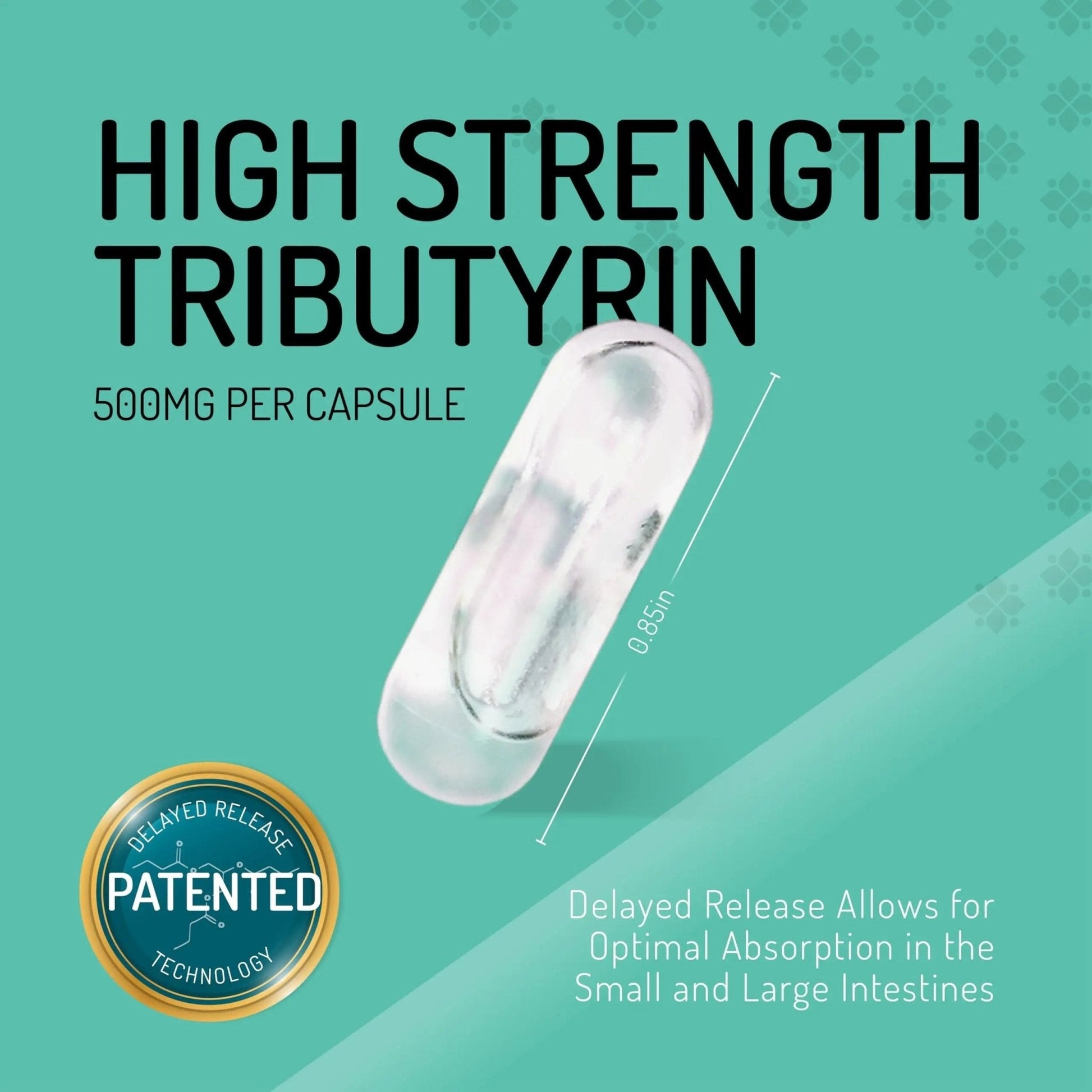 Healus Complete Biotic - Postbiotic Tributyrin Supplement - Postbiotics for Gut Health - Butyrate Gut Health Supplement - Maple Wellness Supplements