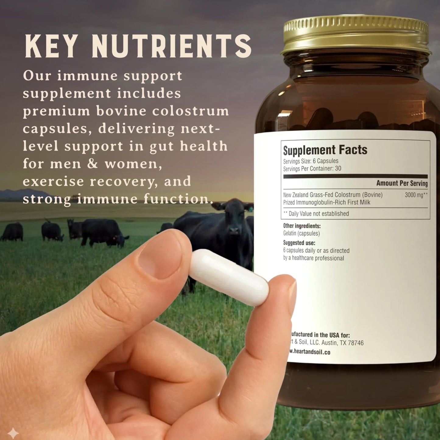 HEART & SOIL 100% Grass Fed & Finished Colostrum Supplement from Regenerative Cattle for Gut, Muscle & Immune Health – 3000mg Bovine Colostrum Capsules - Gut Health for Men & Women –180 Capsules - Maple Wellness Supplements
