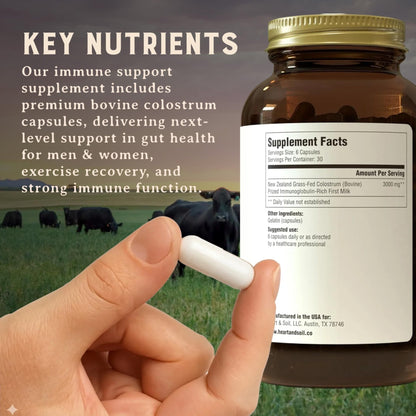 HEART & SOIL 100% Grass Fed & Finished Colostrum Supplement from Regenerative Cattle for Gut, Muscle & Immune Health – 3000mg Bovine Colostrum Capsules - Gut Health for Men & Women –180 Capsules - Maple Wellness Supplements