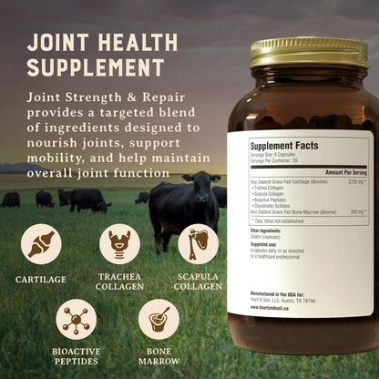 Heart & Soil 100% Grass Fed & Finished Joint Support Supplement from Regenerative Cattle with Trachea, Scapula & Bone Marrow – Supports Joint Strength & Mobility – 3000mg – Glass Bottle – 180 Capsules - Maple Wellness Supplements