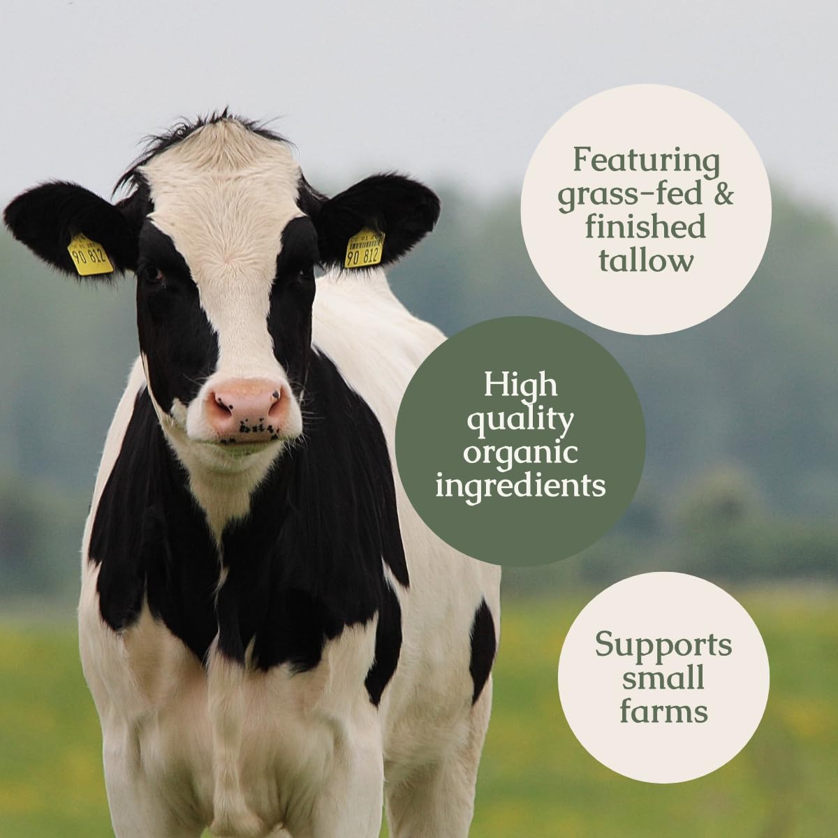 Hearth and Homestead: Handmade Whipped Tallow Balm (Unscented/Herb-Infused) - Maple Wellness Supplements