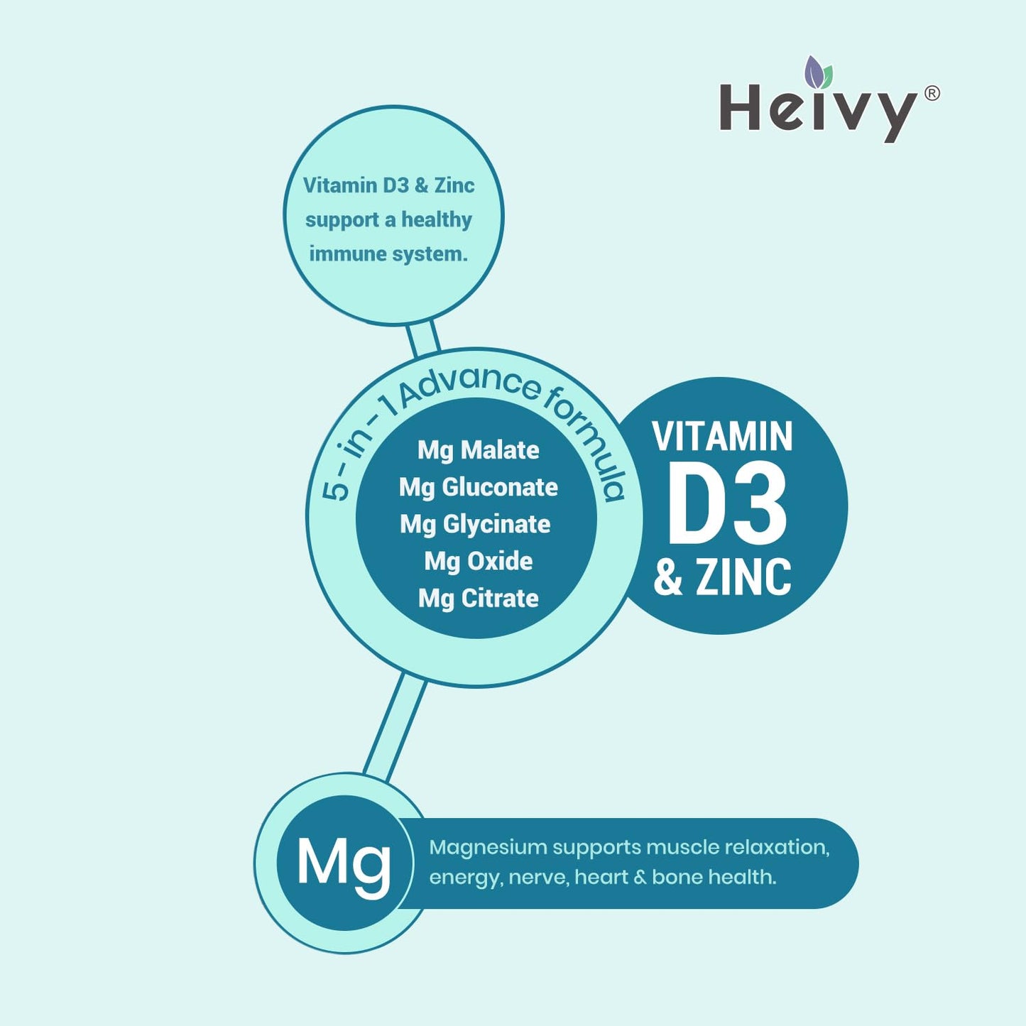 Heivy Magnesium Complex, Magnesium Glycinate, Citrate, Malate, Oxide, Gluconate with Zinc and Vitamin D3, Magnesium Supplement for Muscle, Nerve, Heart, Bone Support, High Absorption, 90 Tablets - Maple Wellness Supplements