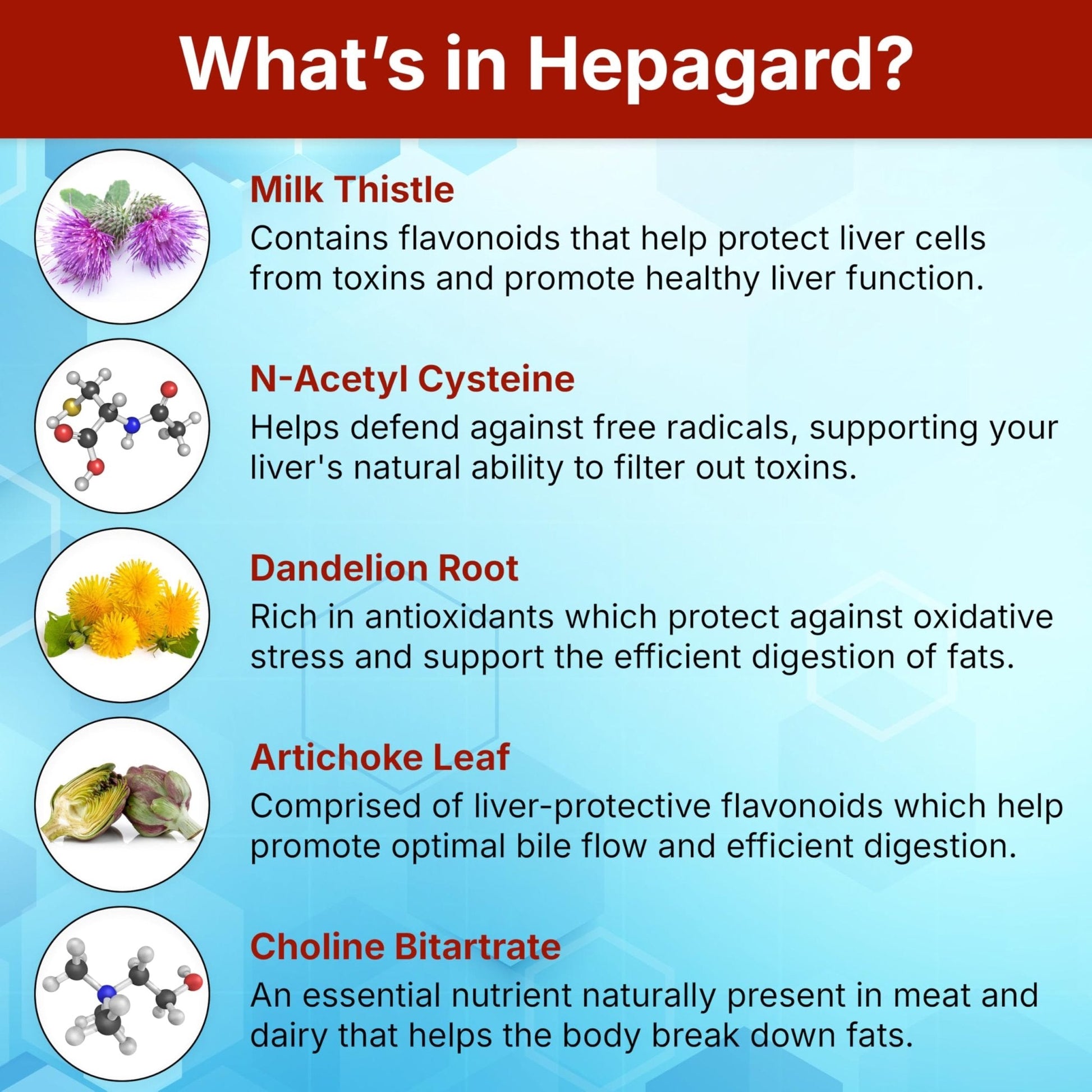 Hepagard - Natural Liver Support Supplement with N-Acetyl Cysteine (NAC) - Non-GMO, Vegan, Gluten-Free - Maple Wellness Supplements