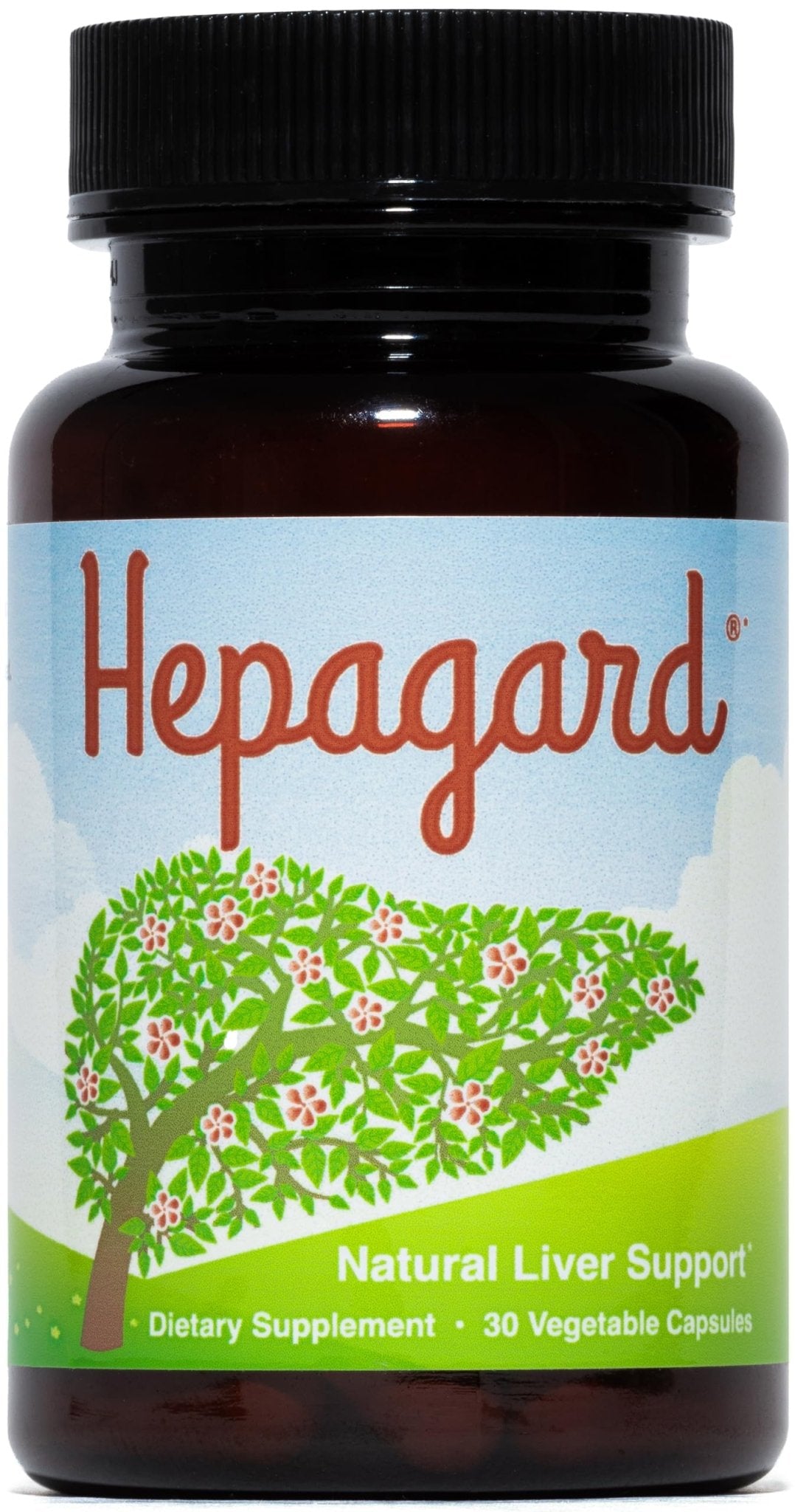 Hepagard - Natural Liver Support Supplement with N-Acetyl Cysteine (NAC) - Non-GMO, Vegan, Gluten-Free - Maple Wellness Supplements