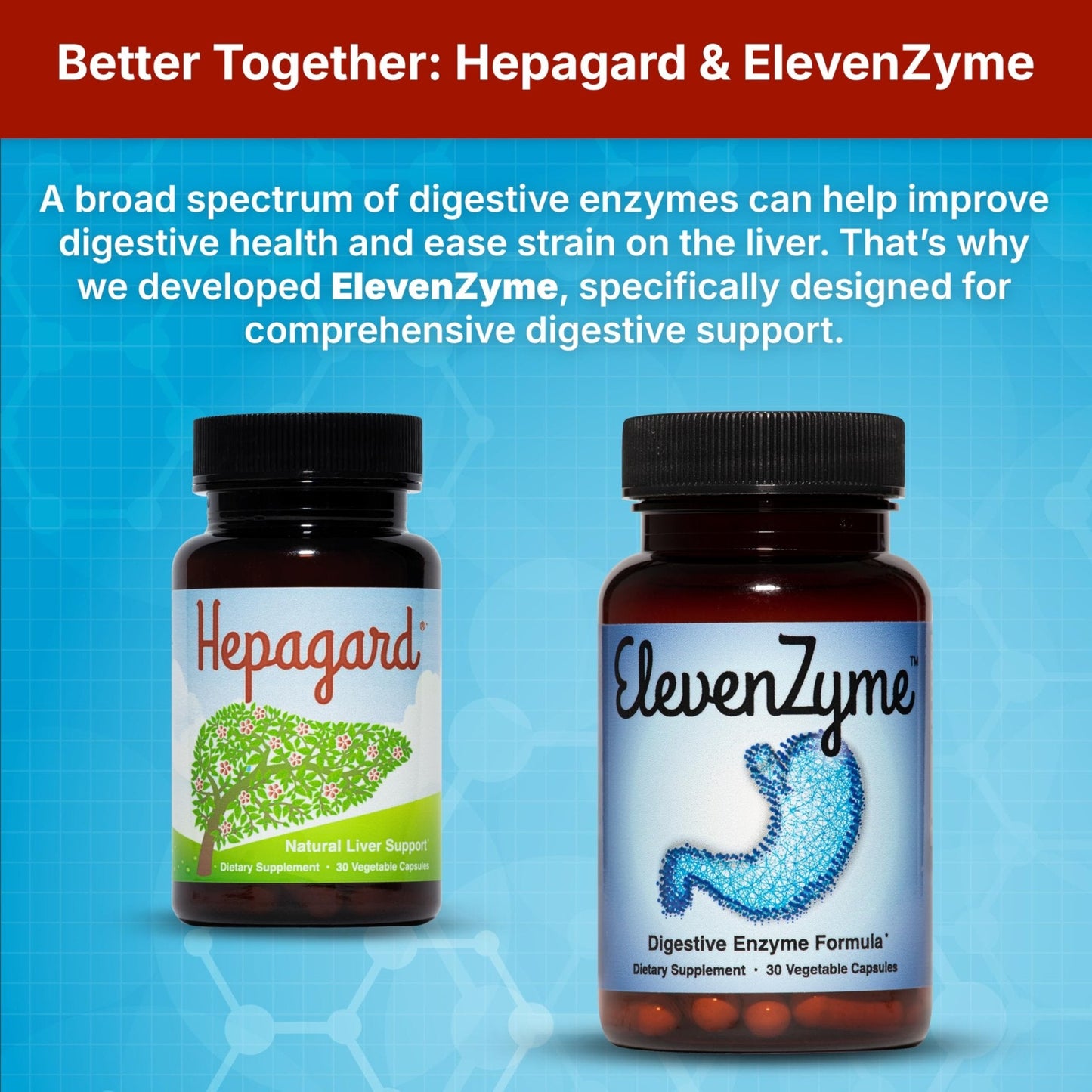 Hepagard - Natural Liver Support Supplement with N-Acetyl Cysteine (NAC) - Non-GMO, Vegan, Gluten-Free - Maple Wellness Supplements