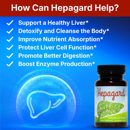 Hepagard - Natural Liver Support Supplement with N-Acetyl Cysteine (NAC) - Non-GMO, Vegan, Gluten-Free - Maple Wellness Supplements