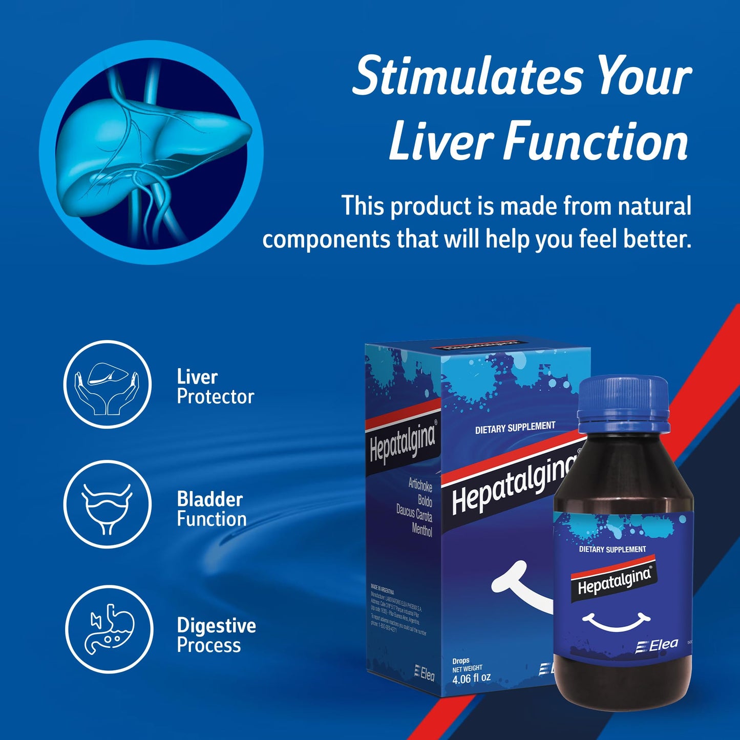 Hepatalgina Liver Support Digestive Protector - Liquid Herbal Supplement with Artichoke Extract for Liver Cleanse Detox & Repair - Liver Detox Cleanse Drops with Mint, Boldo & Carrot - 120 ml - Maple Wellness Supplements