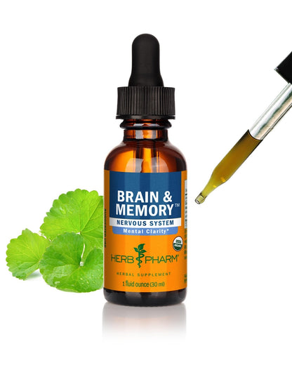 Herb Pharm Organic Nootropic Brain & Memory Supplement with Ginkgo Biloba Liquid Extract: Fast Absorption for Mental Focus Support, Ginkgo Supplement, Vegan, Gluten-Free, Non-GMO, 1 Oz - Maple Wellness Supplements