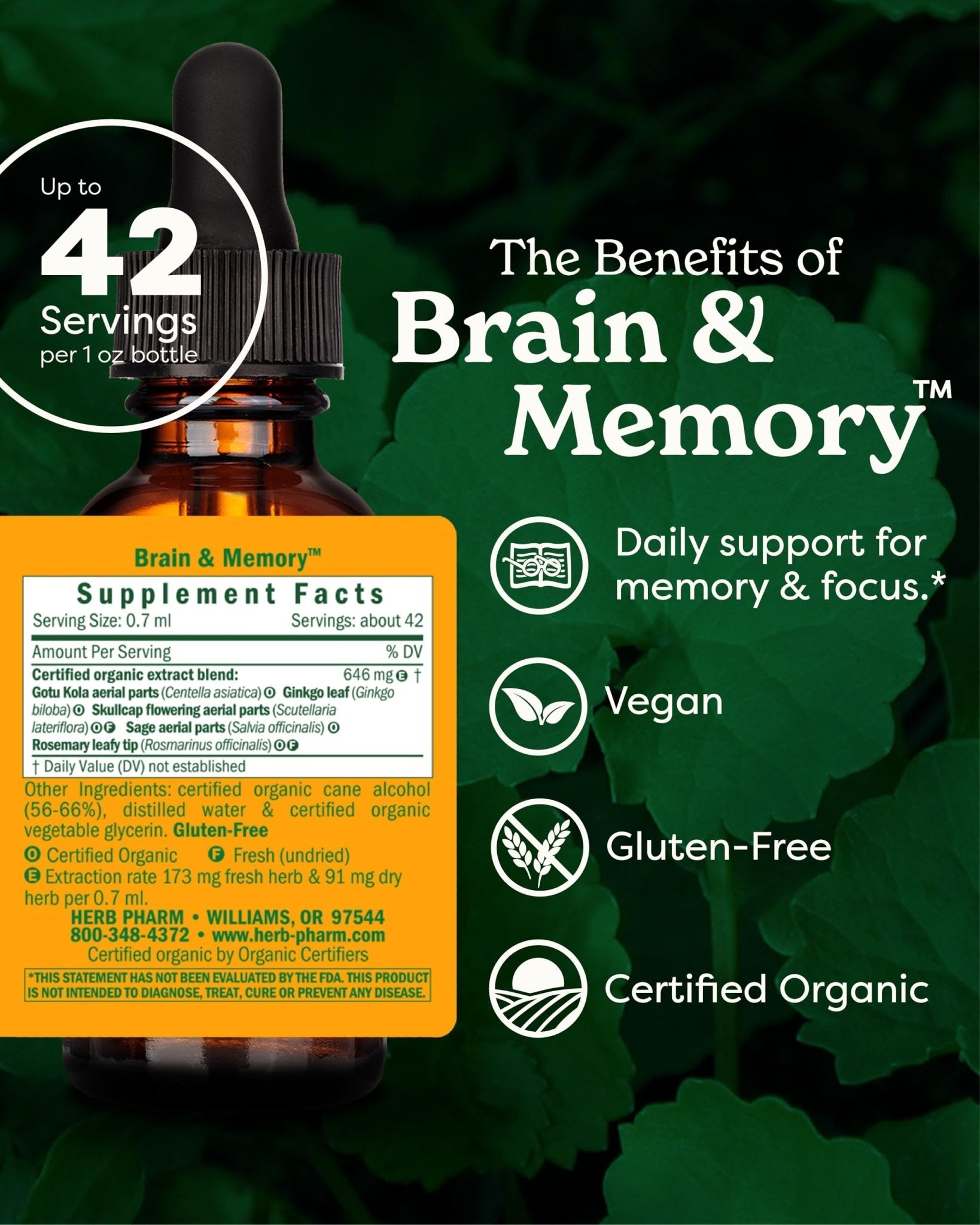 Herb Pharm Organic Nootropic Brain & Memory Supplement with Ginkgo Biloba Liquid Extract: Fast Absorption for Mental Focus Support, Ginkgo Supplement, Vegan, Gluten-Free, Non-GMO, 1 Oz - Maple Wellness Supplements