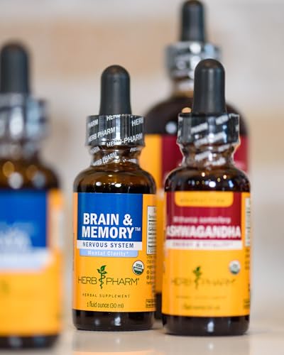 Herb Pharm Organic Nootropic Brain & Memory Supplement with Ginkgo Biloba Liquid Extract: Fast Absorption for Mental Focus Support, Ginkgo Supplement, Vegan, Gluten-Free, Non-GMO, 1 Oz - Maple Wellness Supplements