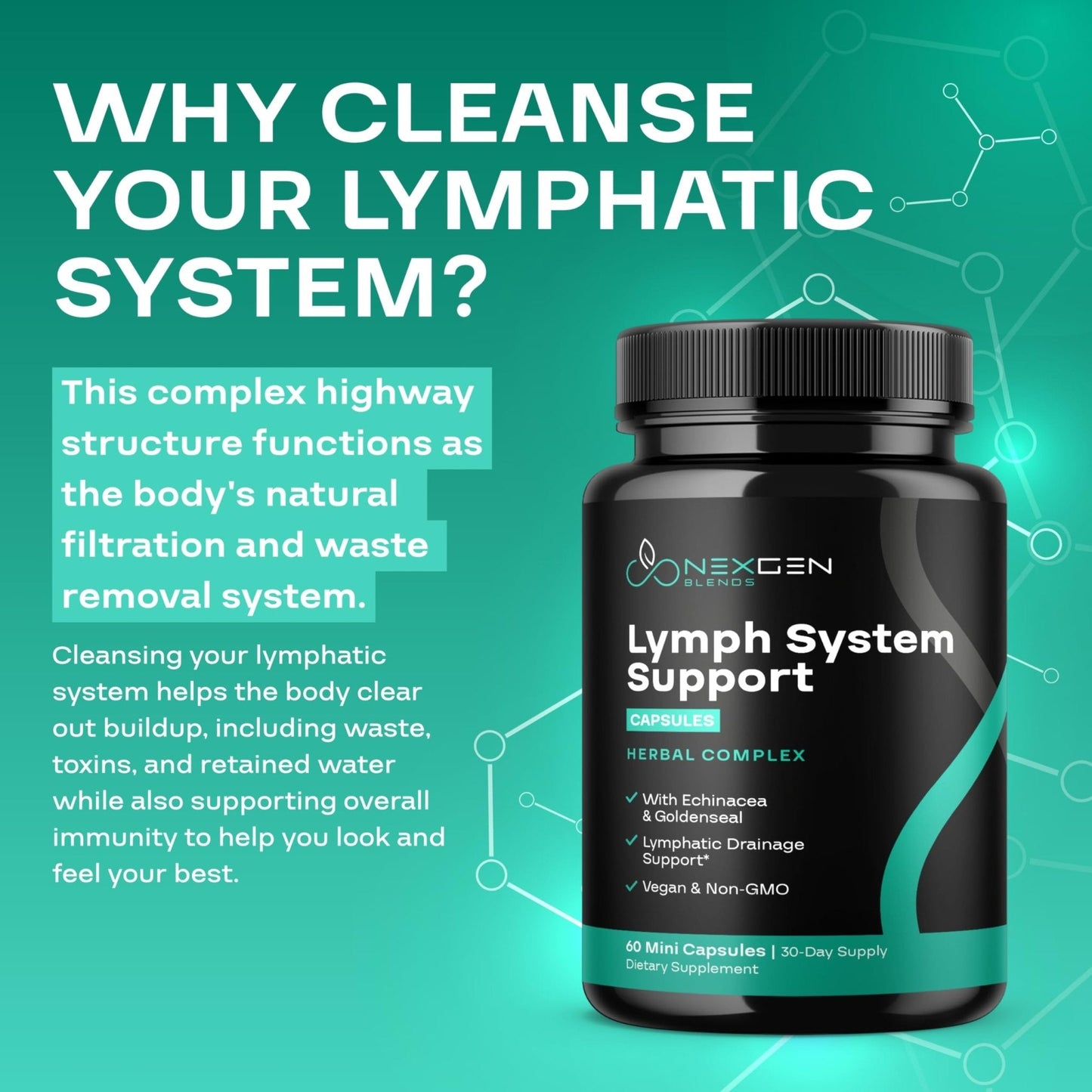 Herbal Lymph System Support Supplement - Lymphatic Support Complex with Echinacea Goldenseal Astragalus & Hydroxytyrosol for Lymphatic Drainage & Immune Support - Vegan Non-GMO Gluten Free (1 Month) - Maple Wellness Supplements