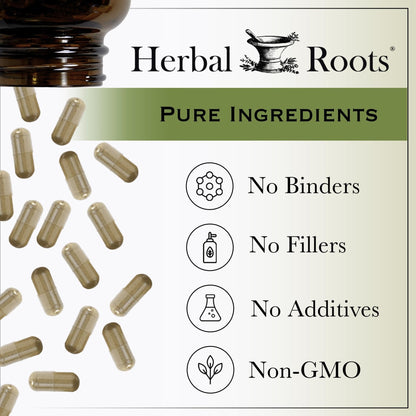Herbal Roots Ginger Supplement | Organic Ginger Root Capsules | 1,200 mg of Pure Ginger Powder per Serving | 60 Vegan Capsules - Maple Wellness Supplements