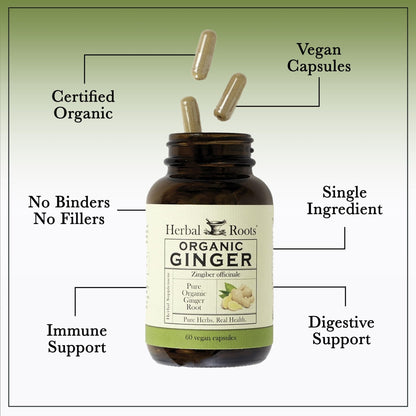 Herbal Roots Ginger Supplement | Organic Ginger Root Capsules | 1,200 mg of Pure Ginger Powder per Serving | 60 Vegan Capsules - Maple Wellness Supplements