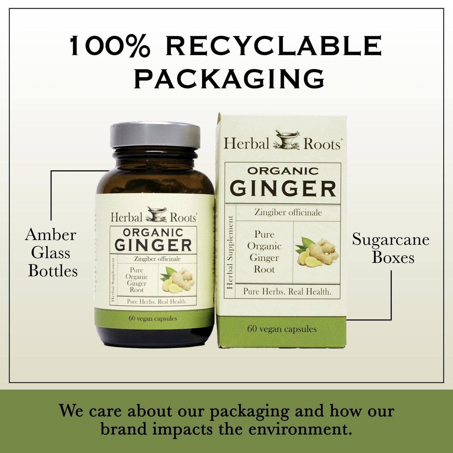 Herbal Roots Ginger Supplement | Organic Ginger Root Capsules | 1,200 mg of Pure Ginger Powder per Serving | 60 Vegan Capsules - Maple Wellness Supplements