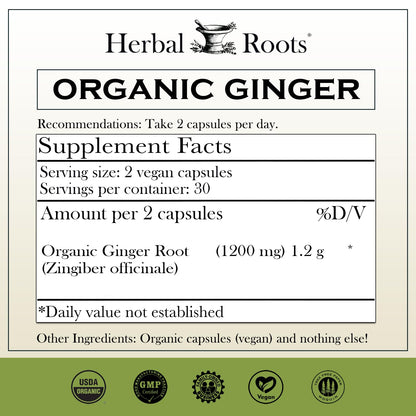 Herbal Roots Ginger Supplement | Organic Ginger Root Capsules | 1,200 mg of Pure Ginger Powder per Serving | 60 Vegan Capsules - Maple Wellness Supplements