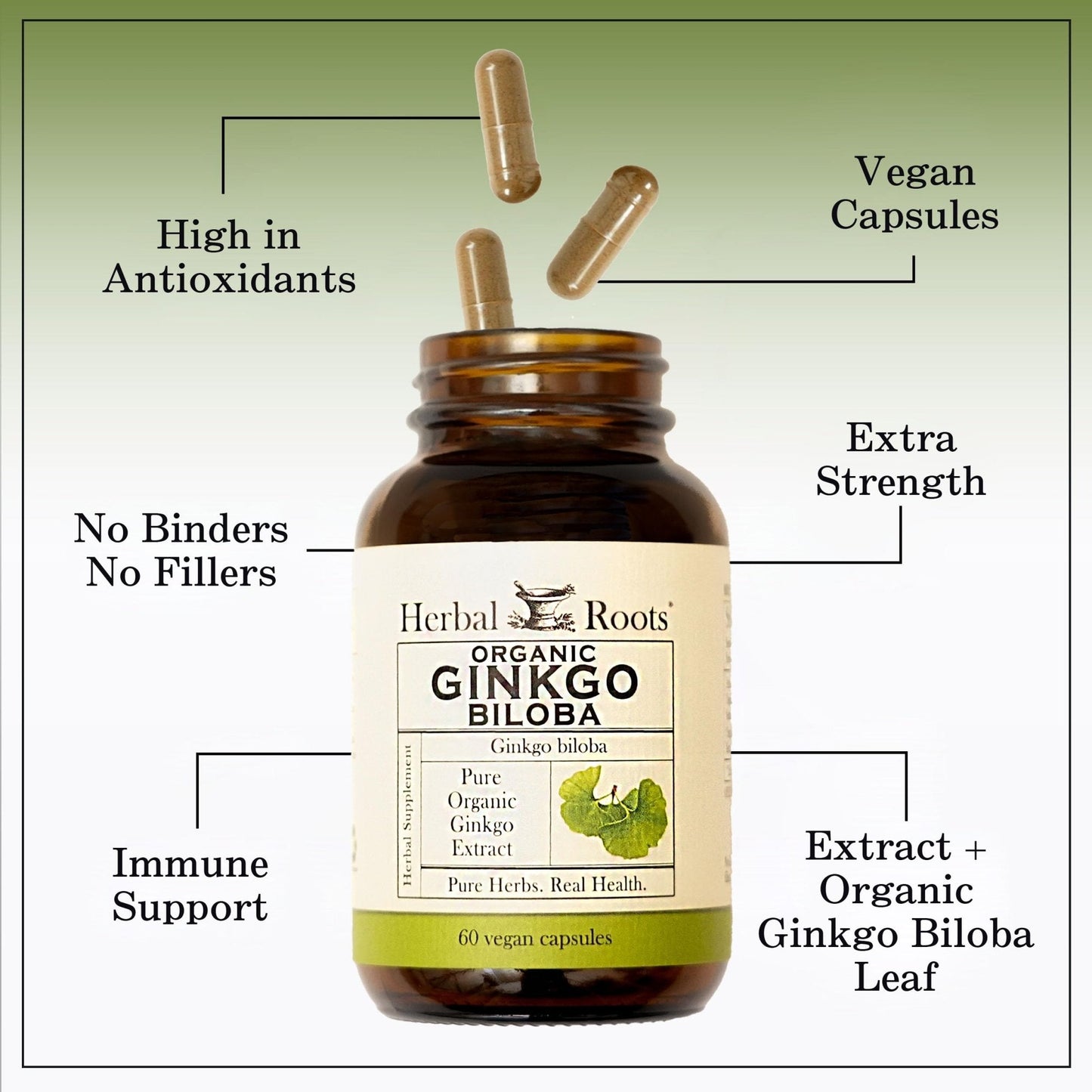 Herbal Roots Organic Ginkgo Biloba Made with Pure Organic Ginkgo Leaf and Extract - 60 Vegan Capsules - Maple Wellness Supplements