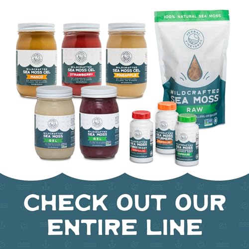 Herbal Vineyards Natural Organic Wildcrafted Gold Raw Sea Moss Gel for Immune Support - Maple Wellness Supplements