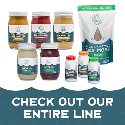 Herbal Vineyards Natural Organic Wildcrafted Gold Raw Sea Moss Gel for Immune Support - Maple Wellness Supplements