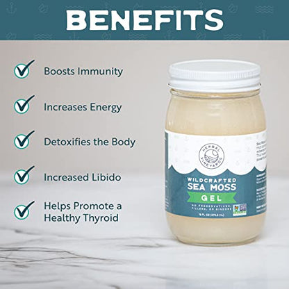 Herbal Vineyards Natural Organic Wildcrafted Gold Raw Sea Moss Gel for Immune Support - Maple Wellness Supplements