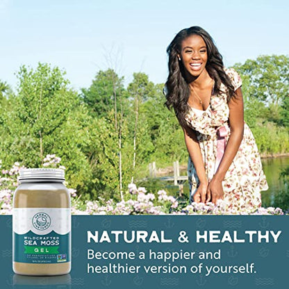 Herbal Vineyards Natural Organic Wildcrafted Gold Raw Sea Moss Gel for Immune Support - Maple Wellness Supplements