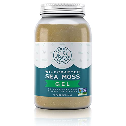 Herbal Vineyards Natural Organic Wildcrafted Gold Raw Sea Moss Gel for Immune Support - Maple Wellness Supplements